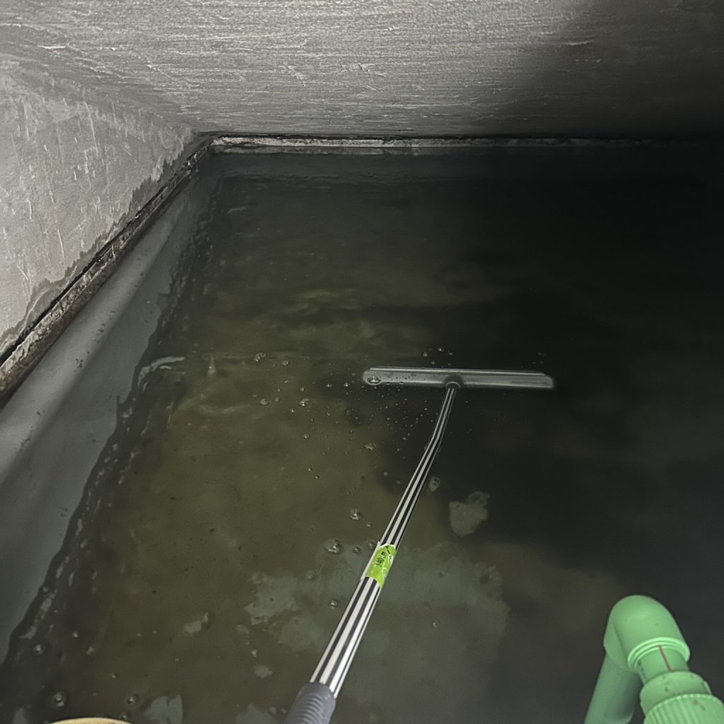 antes de L+D afs rd legionella