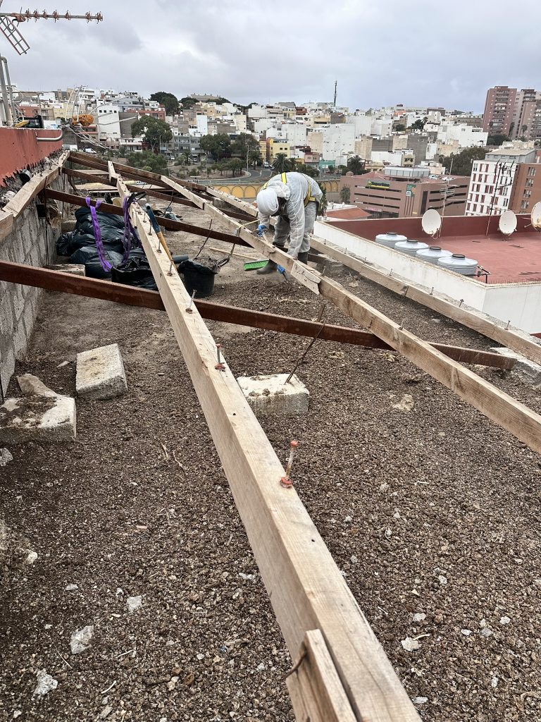 trabajo de altura limpieza excrementos palomas